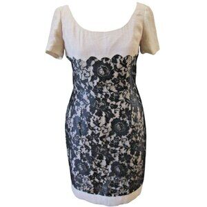 Antonio Melani Golden Glam Dita Sheath Dress Size 4 Black Lace Overlay